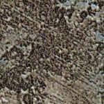 0416_mika_urban_seryy