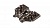 ALF20.H02E