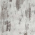 3167_larix_0