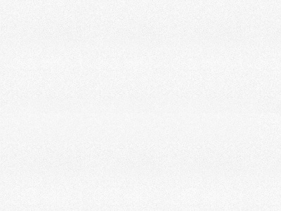 3006