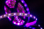 Lenta_svetodiodnaya_60_diodovm.p._5050_RGB_4