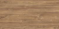11131